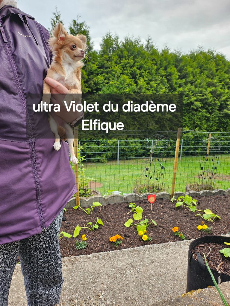 Quelque photos